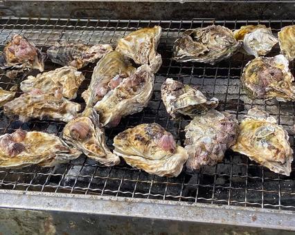 炭火で焼かれる殻付きのカキ カキ,牡蠣,殻付きカキの写真素材