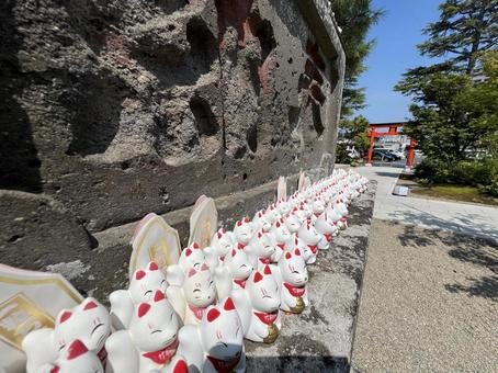 夏詣~お狐さん~ 夏詣~お狐さん~ 狐,神社,稲荷の写真素材