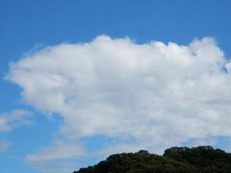 【空の写真】夏空 【空の写真】夏空の写真
