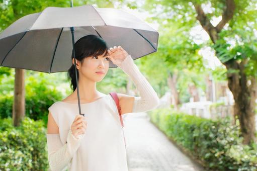 日傘をさす女性 日傘をさす女性の写真