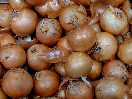 たまねぎ 玉葱,オニオン,食材の写真素材