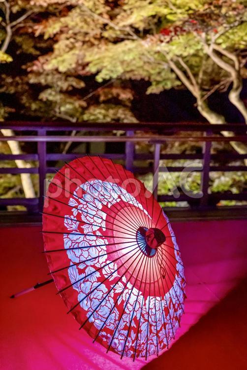 和傘ライトアップが映える和の夜景 楊谷寺,和傘,ライトアップの写真素材