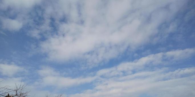 晴れた冬空 晴れた冬空の写真