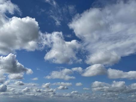 夏空の写真