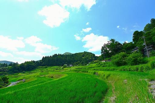 青空と美しい棚田の風景 青空と美しい棚田の風景の写真
