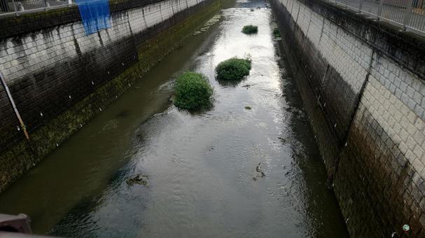 川の流れる風景の写真