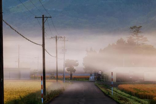 朝霧 朝霧 朝霧,霧,早朝の写真素材