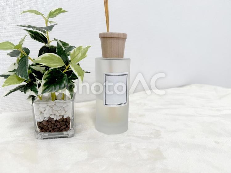 アロマディフューザーと観葉植物 アロマテラピー,リードディフューザー,アロマの写真素材