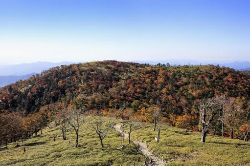大台ヶ原　秋の写真
