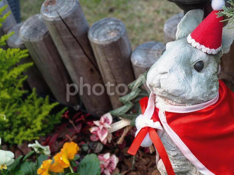 クリスマス　サンタクロース クリスマス,サンタクロース,うさぎの写真素材