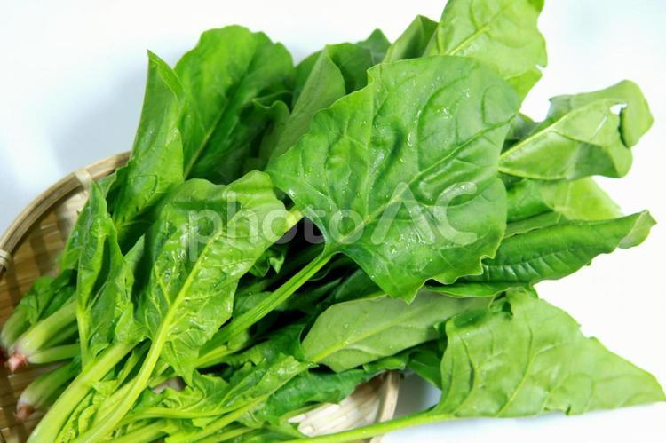 ほうれん草　ホウレンソウ　野菜　やさい ほうれん草,緑黄色野菜,ほうれんそうの写真素材