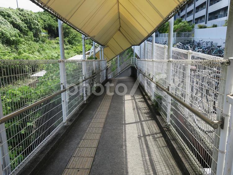 JR日田彦山線 志井公園駅 jr日田彦山線,志井公園駅,ホームの写真素材