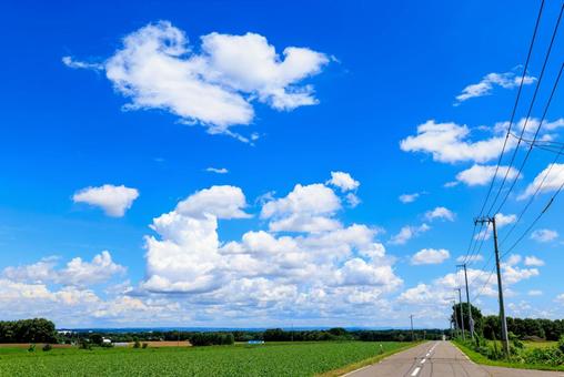 青空と雲 青空と雲 青空,雲,白い雲の写真素材