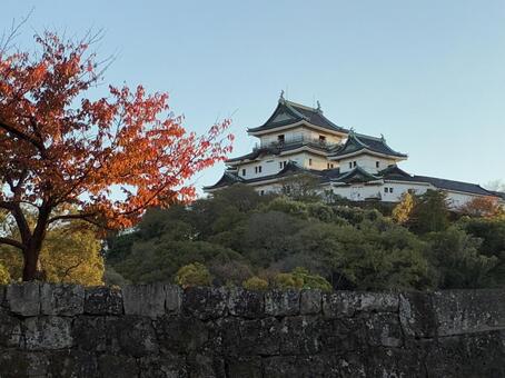 和歌山城と紅葉 和歌山城,城,和歌山市の写真素材