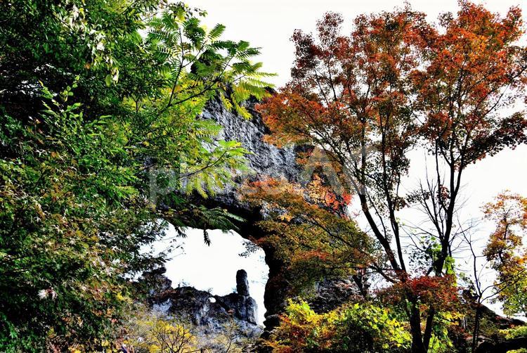 妙義山の奇岩と紅葉Ⅱ（群馬） 秋,紅葉,奇岩の写真素材