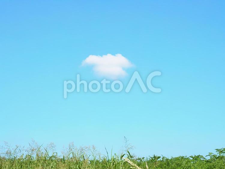 青空と雲と緑 夏,青空,緑の写真素材