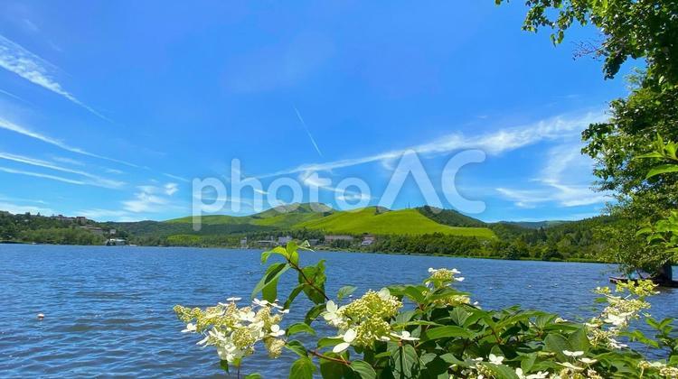 夏のビーナスライン・白樺湖（18） 白樺湖,ビーナスライン,夏の写真素材