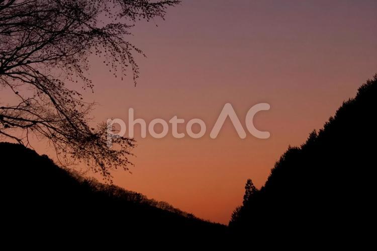 冬の夕暮れ⑤ 夕焼け,茜色,冬の写真素材