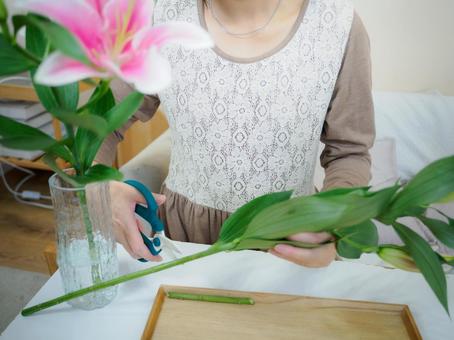 36:ゆりの花を生ける女性 36:ゆりの花を生ける女性 花,ゆり,丁寧な暮らしの写真素材