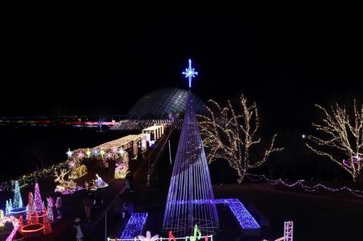 冬に輝くとっとり花回廊のイルミネーション 冬に輝くとっとり花回廊のイルミネーションの写真