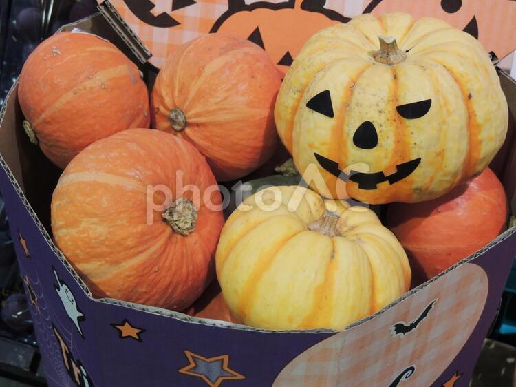 ハロウィン用かぼちゃ ハロウィン,カボチャ,南瓜の写真素材