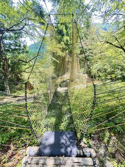 日本の秘境 十津川村 吊り橋 日本の秘境 十津川村 吊り橋 十津川村,自然,森林の写真素材