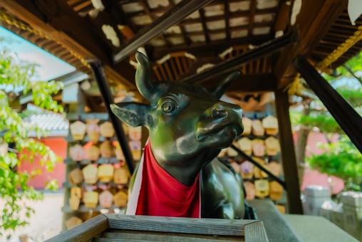 【兵庫】神戸北野天満神社 【兵庫】神戸北野天満神社の写真