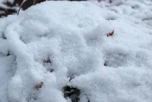 ズームアップした雪 冬,雪,積雪の写真素材