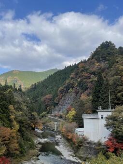 晩秋の田舎 風景,レトロ,ノスタルジーの写真素材