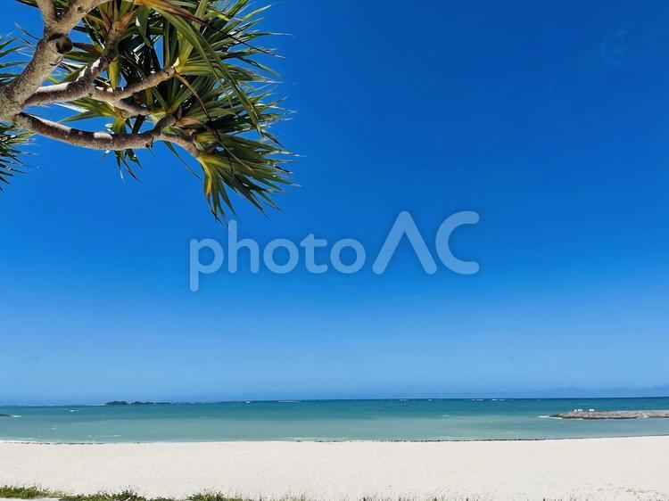 沖縄の海 海,青い海,夏の写真素材