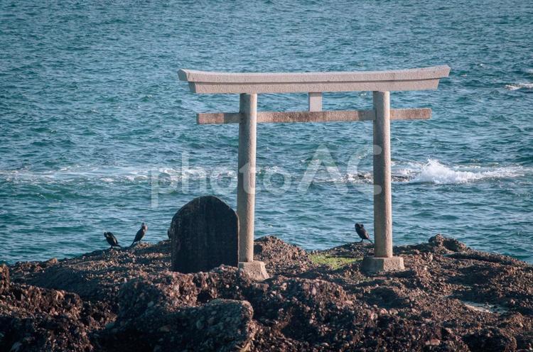 茨城県大洗町　磯前神社　神磯の鳥居 茨城県,大洗町,磯前神社の写真素材