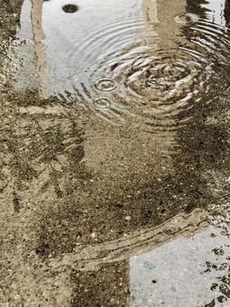 雨の日 波紋 雨の日 波紋の写真