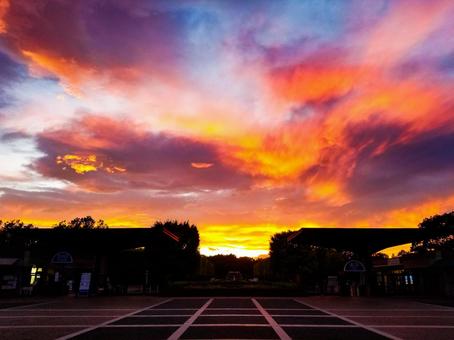 夕陽 夕陽の写真