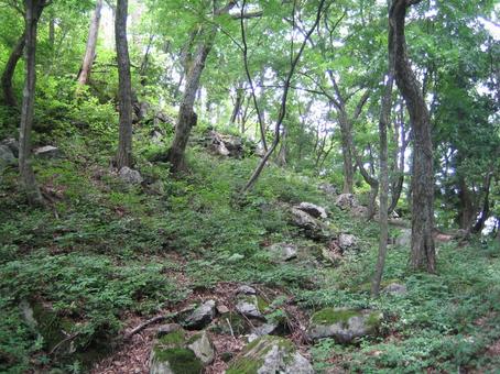 Photo, little valley city, kotaniyama, nagamasa asai, 