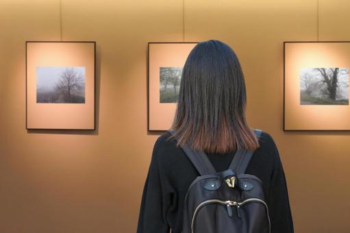 ギャラリーで鑑賞する女性 ギャラリーで鑑賞する女性の写真