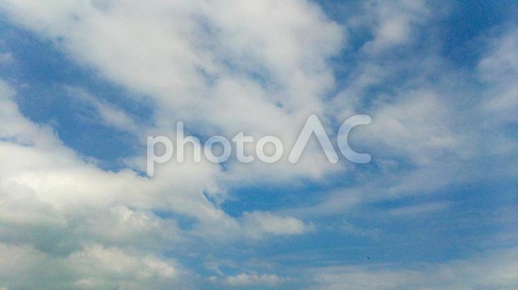 青空と流れる白い雲 空,雲,青空の写真素材