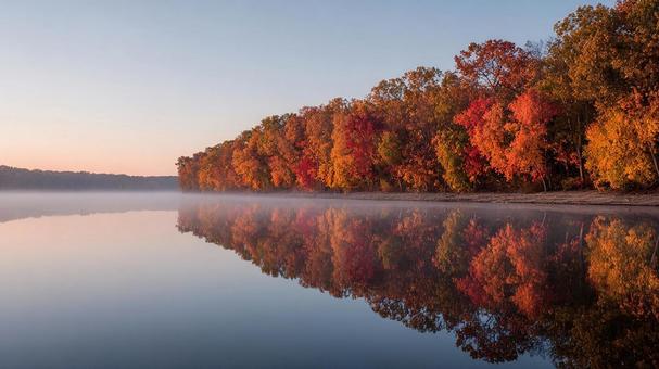 霧が漂う湖畔の紅葉 霧が漂う湖畔の紅葉の写真