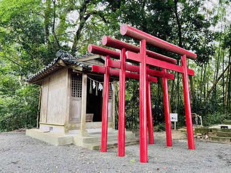 千栗八幡宮 趣のある,風情のある,木の写真素材