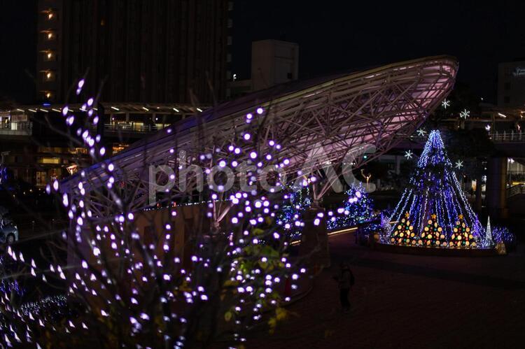 刈谷駅のクリスマス　イルミネーション イルミネーション,クリスマス,ライトアップの写真素材