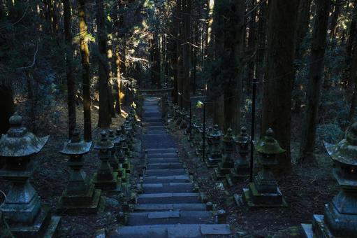 熊本県高森町 上色見熊野座神社 参道 熊本県高森町 上色見熊野座神社 参道の写真