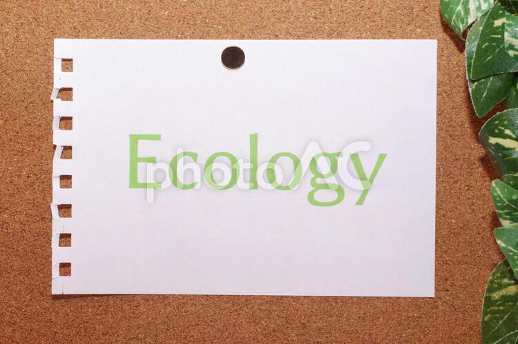 観葉植物と掲示板素材 エコロジー,エコ,環境の写真素材