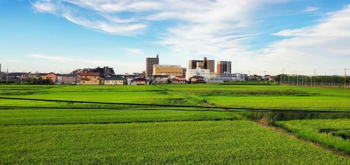 田園風景#2 田園風景#2 田園,田んぼ,住宅街の写真素材