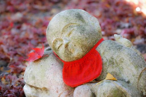 秋の寝顔 秋,紅葉,もみじの写真素材