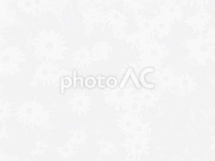 白い背景素材・花の透かし模様 背景素材,花,白の写真素材