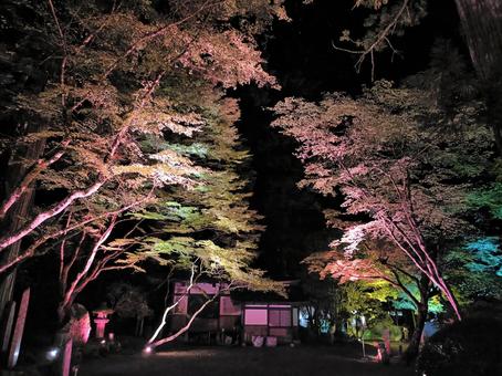 ライトアップされた那谷寺(石川県)5 ライトアップされた那谷寺(石川県)5 那谷寺,なたでら,ライトアップの写真素材