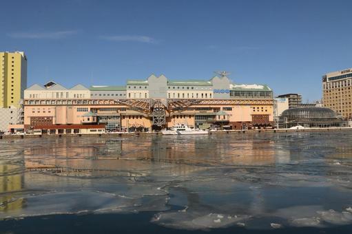 冬の蓮の葉氷 氷,冬,水面の写真素材