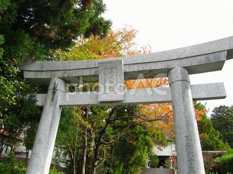 温泉神社　#1 九州,温泉,神様の写真素材