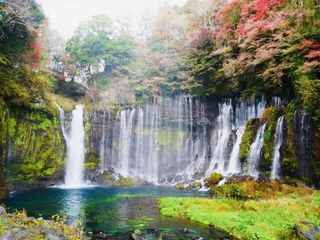 秋深まる白糸の滝 白糸の滝,滝,紅葉の写真素材