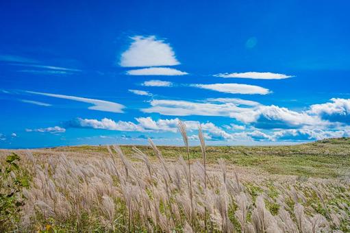 四国地方　四国カルスト台地の風景 カルスト台地,四国,四国地方の写真素材
