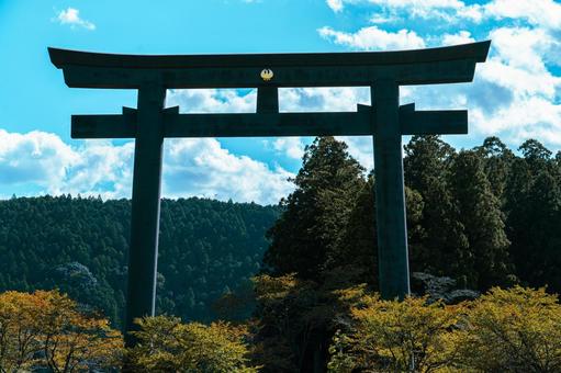 大きな鳥居 大きな鳥居の写真